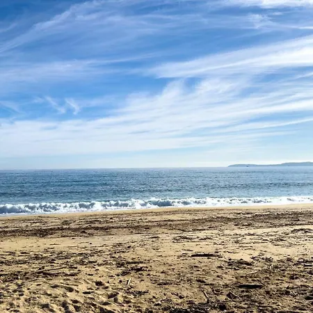 Apartman T2 Pied Dans L'eau- Vue Mer- Proche Commerces