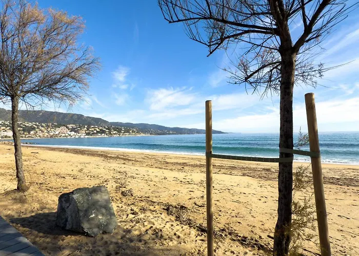T2 Pied Dans L'eau- Vue Mer- Proche Commerces