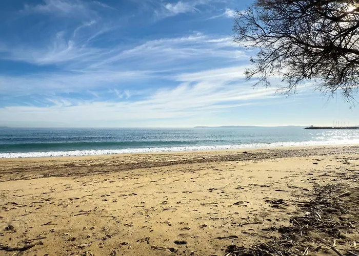 T2 Pied Dans L'eau- Vue Mer- Proche Commerces Apartman *