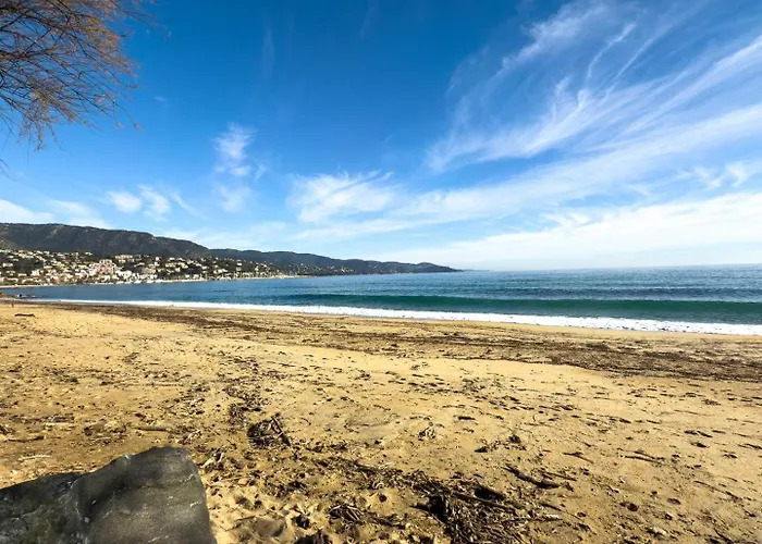 T2 Pied Dans L'eau- Vue Mer- Proche Commerces Le Lavandou